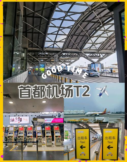 北京首都机场免税店营业时间