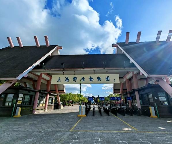 上海野生动物园最近的高铁站