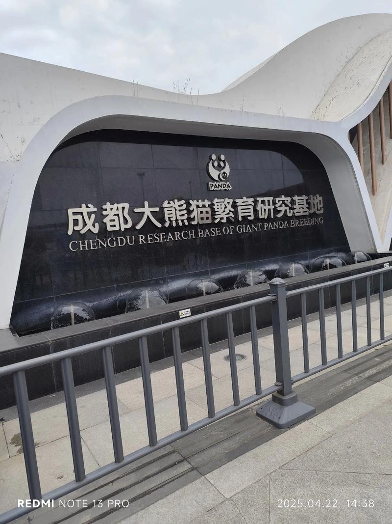成都大熊猫繁育研究基地怎么去