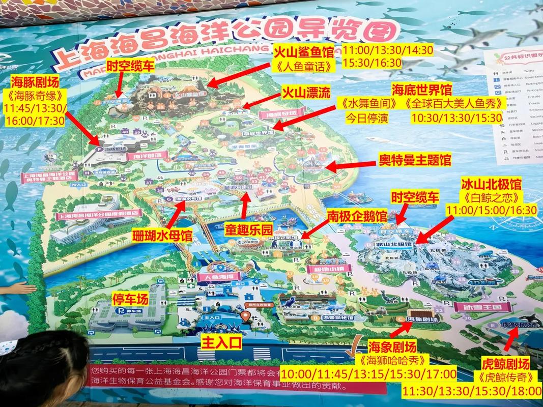 上海海昌公园门票多少钱一张