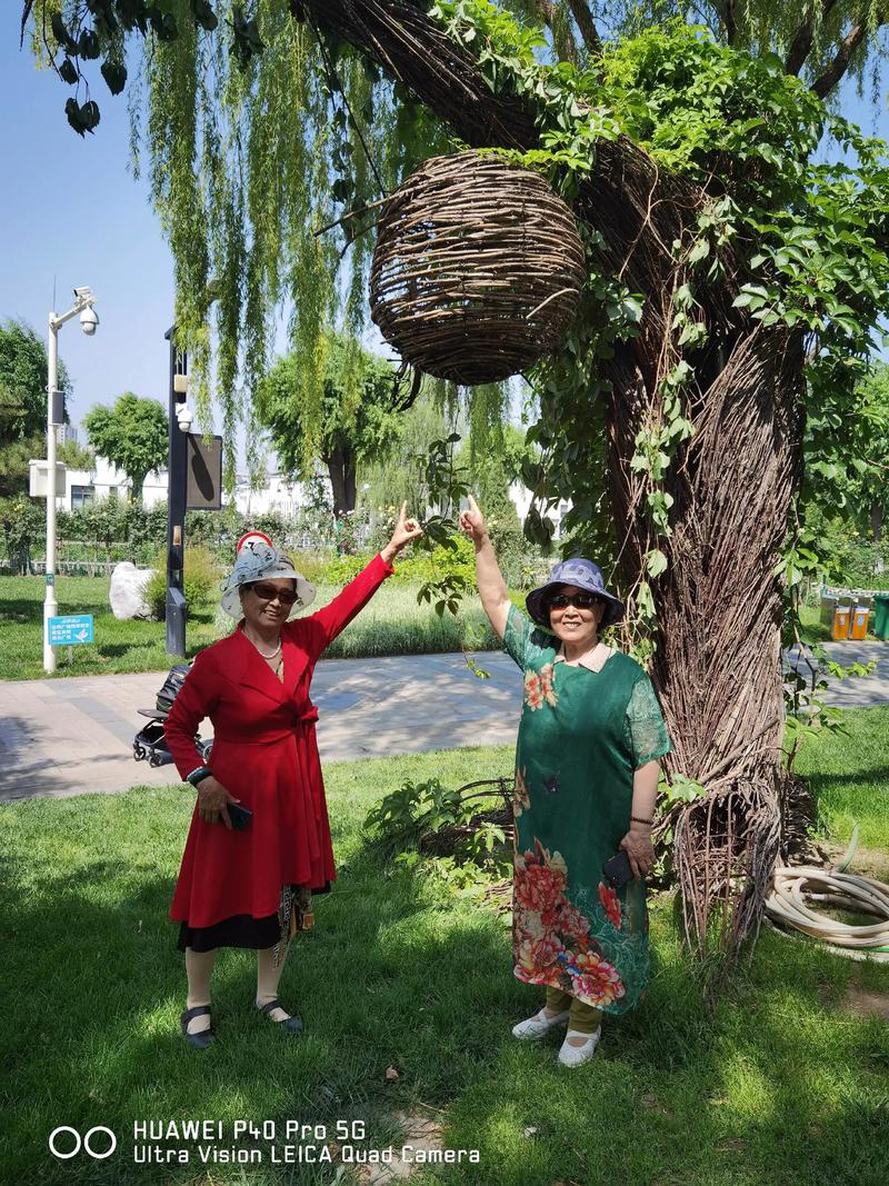 北京世界花卉大观园门票价格