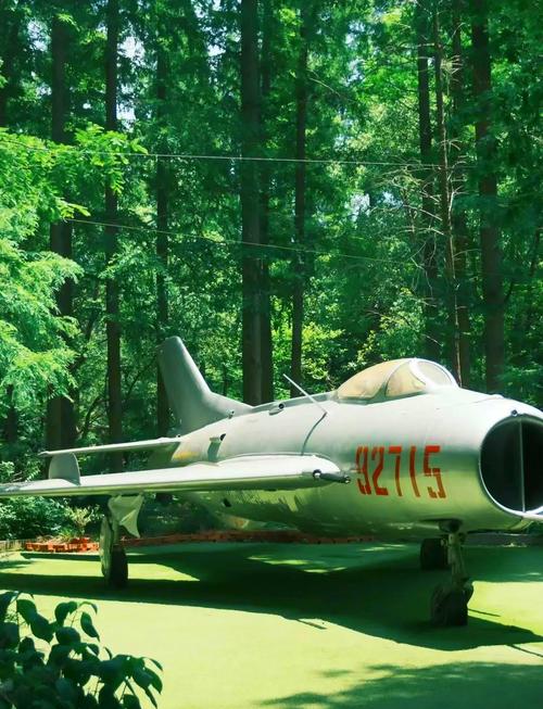 上海崇明岛东平国家森林公园