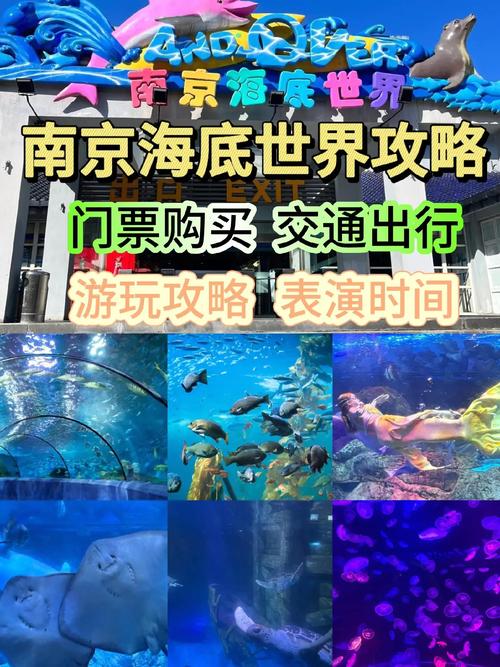 成都海洋世界门票多少钱一张