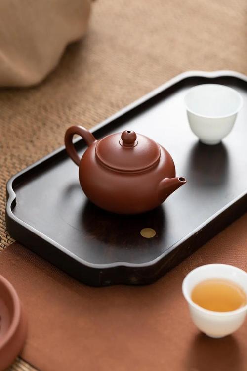 养大红袍紫砂壶用什么茶