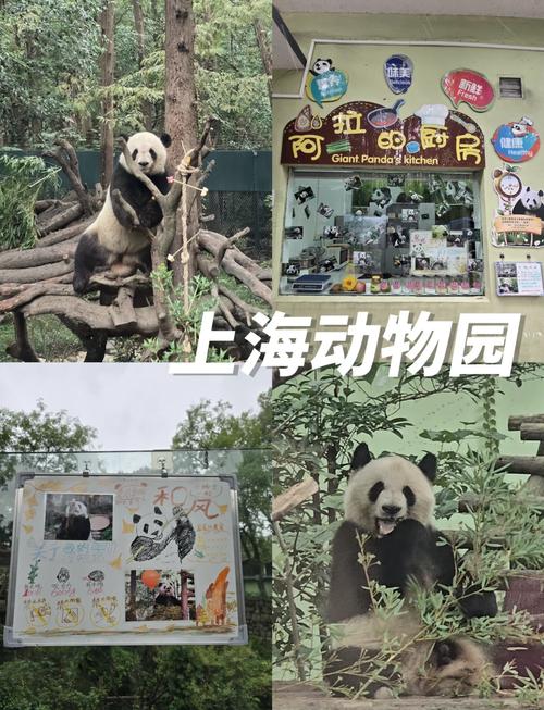 上海野生动物园门票预约官网