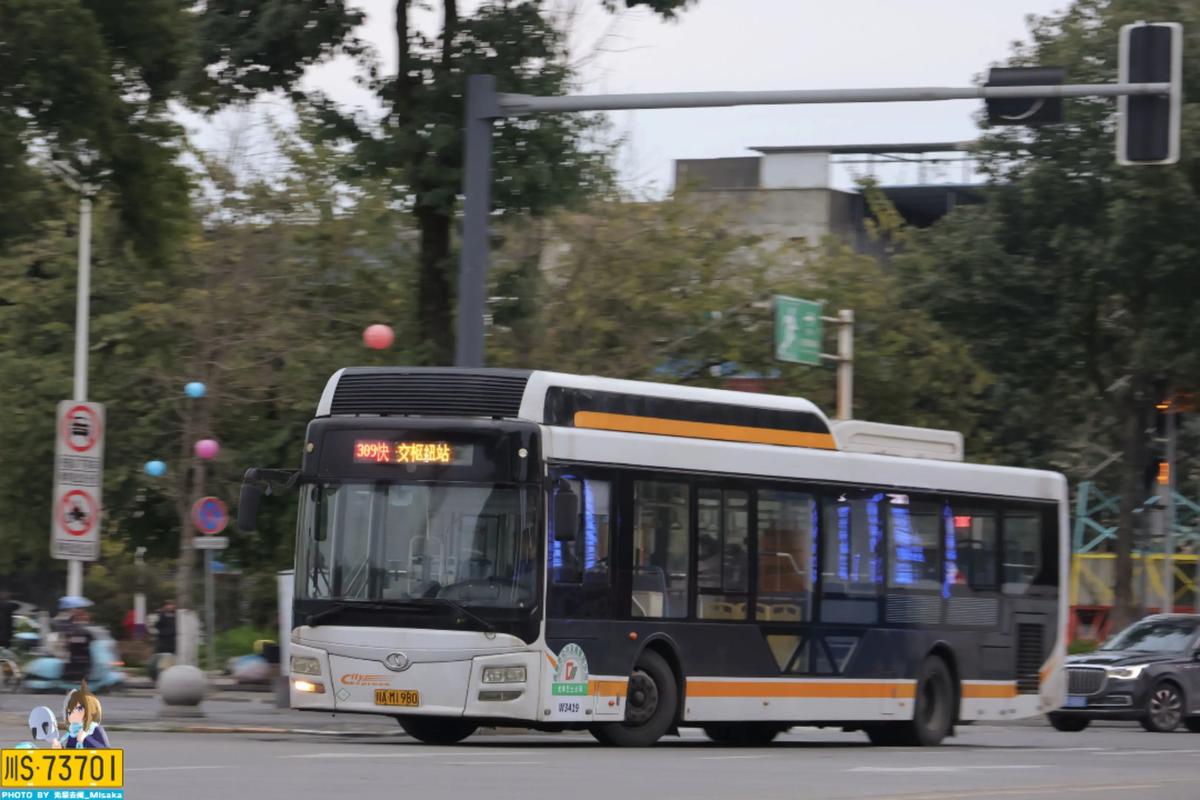 成都309路公交车路线查询