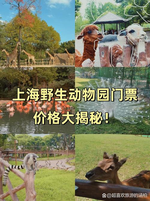 上海野生动物园马戏团门票