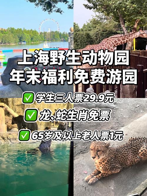 上海野生动物园门票多少钱