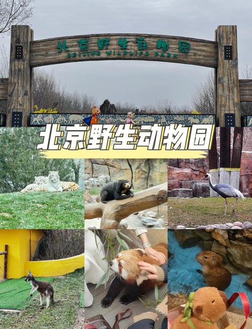 北京动物园是野生动物园吗