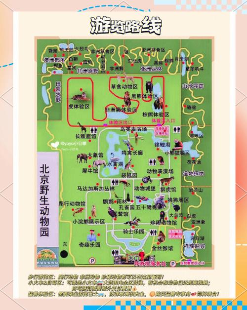 北京动物园是野生动物园吗