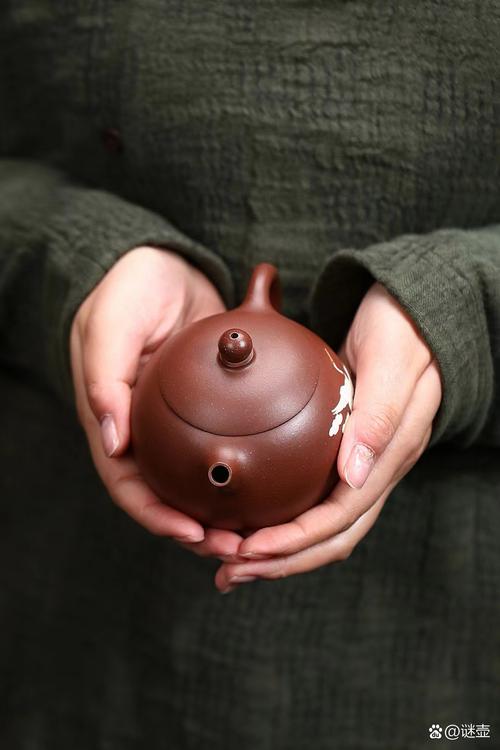 西施 紫砂壶 流口水