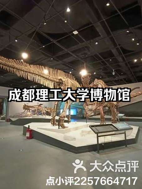 成都理工大学恐龙数字博物馆