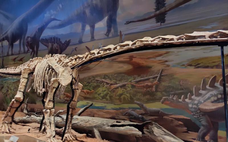 成都理工大学恐龙数字博物馆