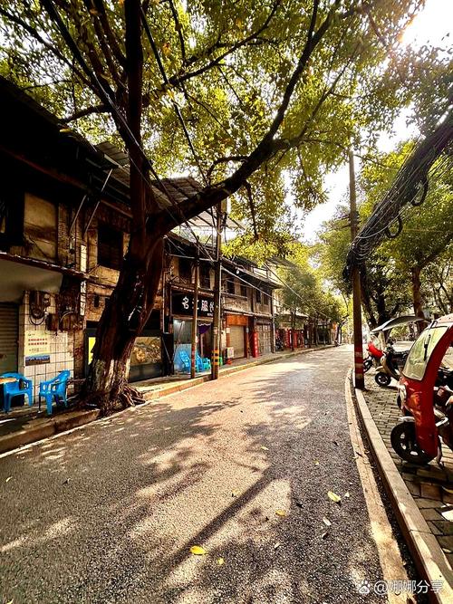 成都市新华大道三槐树路2号