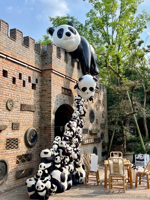 12月份去成都有什么好玩的