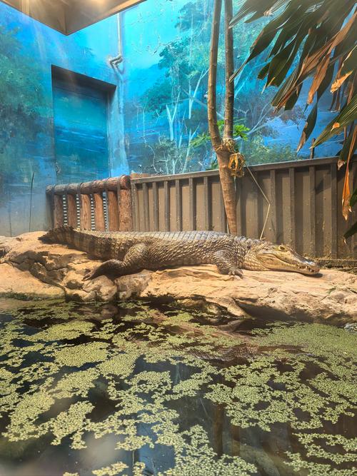 北京动物园两栖爬行动物馆