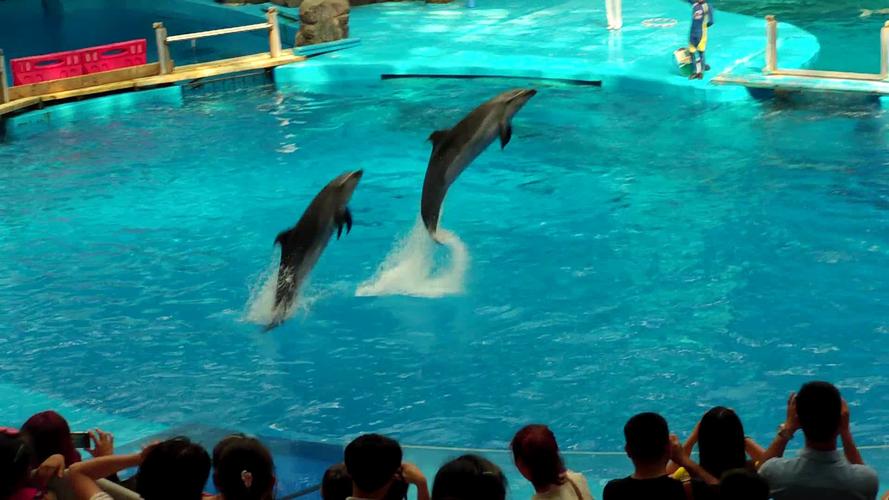 成都市海昌极地海洋世界景区