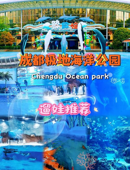 成都极地海洋公园有哪些项目