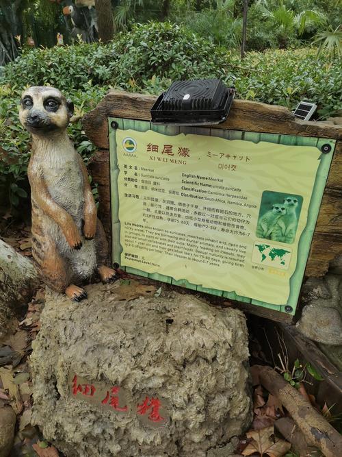 上海野生动物园有什么动物