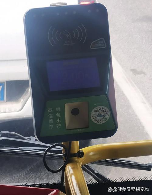 上海出租车可以刷公交卡吗