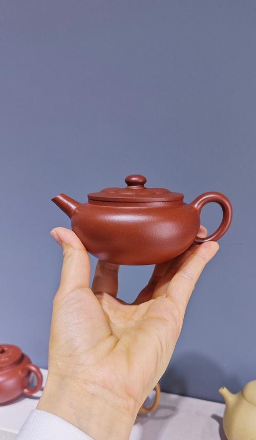 花5000买个紫砂壶