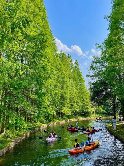 上海滨江森林公园游玩攻略