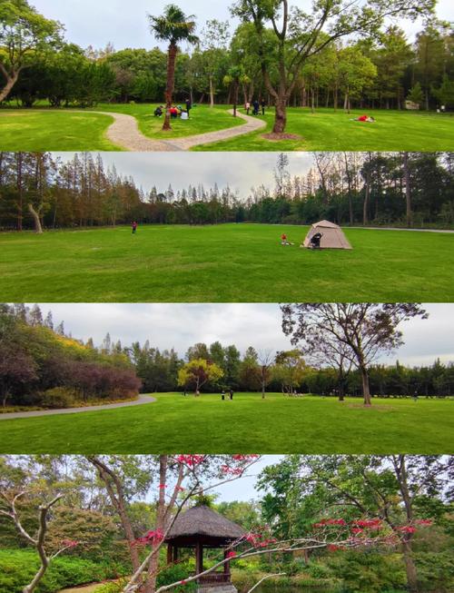 上海滨江森林公园游玩攻略