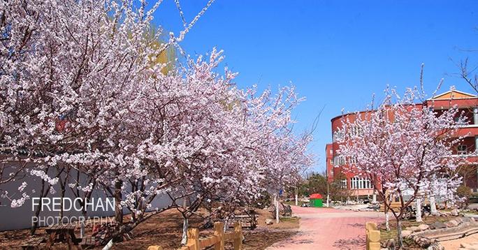 北京市海淀外国语实验学校