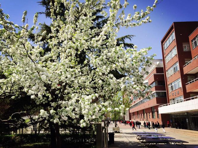 北京师范大学附属实验中学