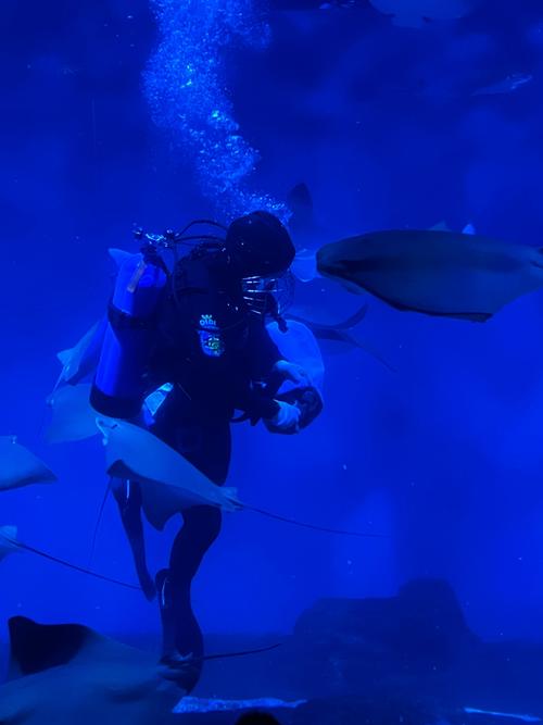上海海洋水族馆门票团购