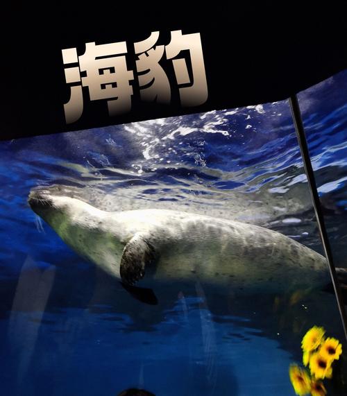 上海海洋水族馆门票多少