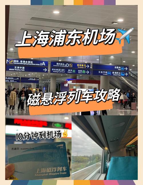 杭州到上海浦东机场高铁