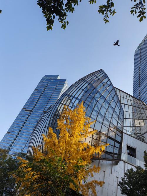 成都天府通卡可以坐地铁吗