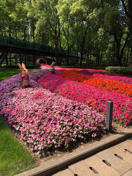 上海适合老年人玩的地方