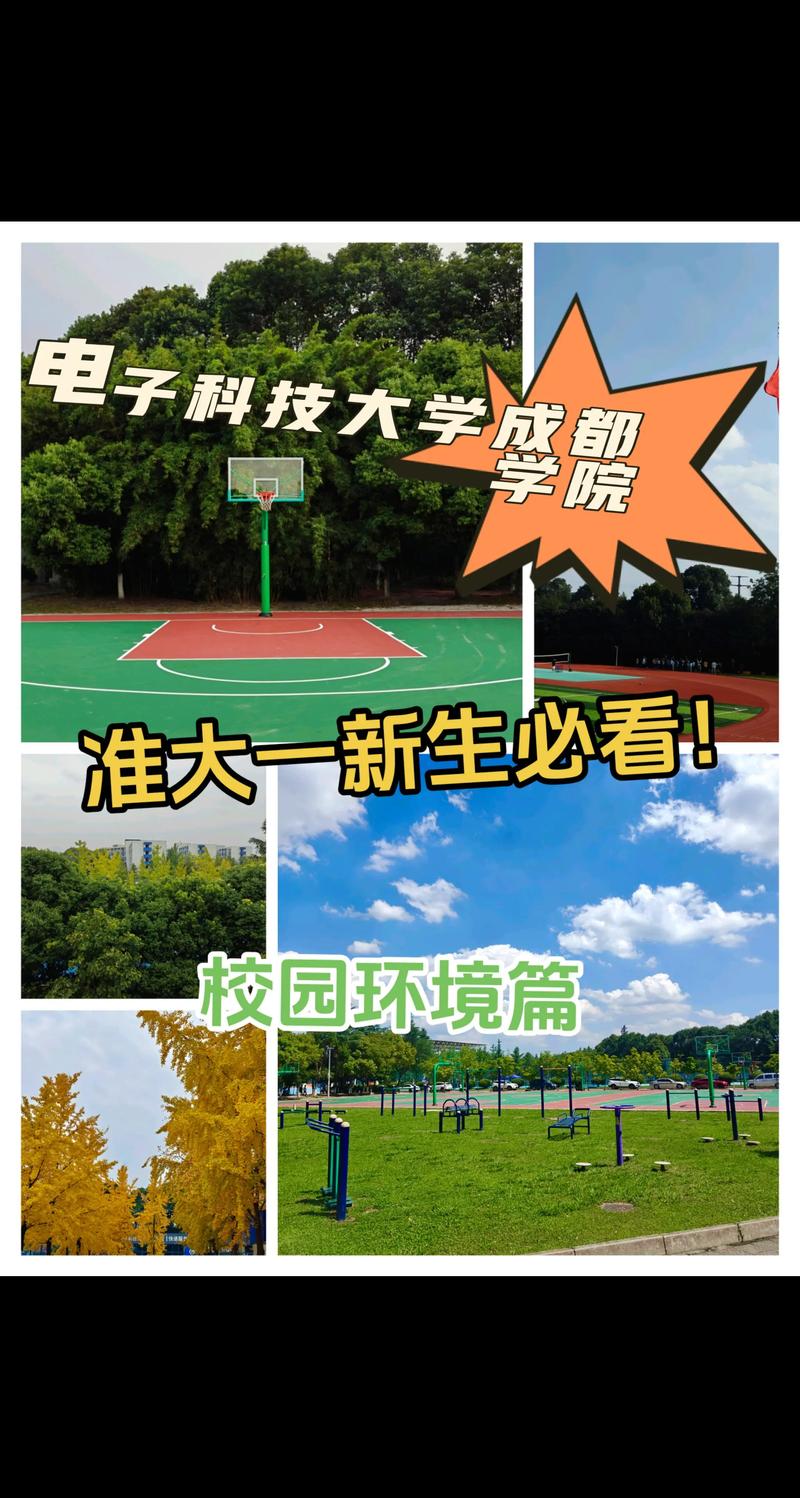 电子科技大学成都学院地址