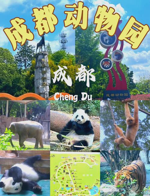 四川成都动物园门票多少钱