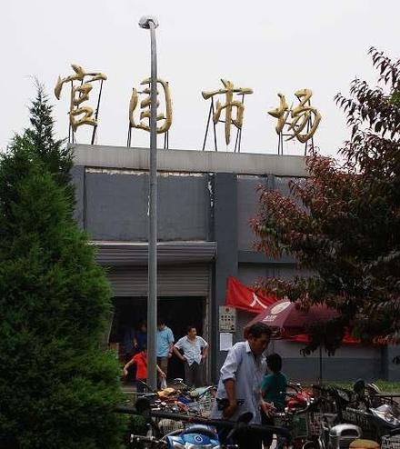 北京最大的花鸟鱼虫市场