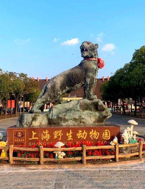 上海火车站到野生动物园