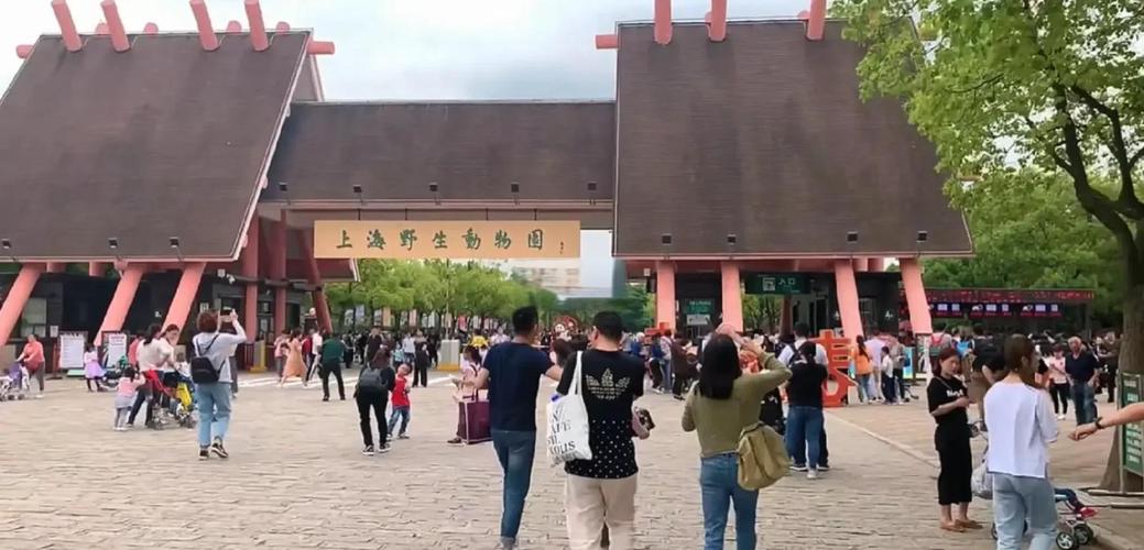 上海火车站到野生动物园
