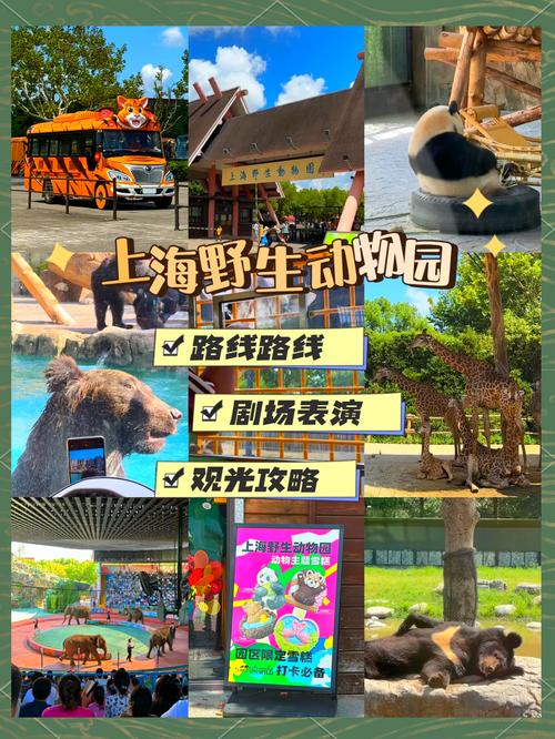 上海野生动物园几点关门
