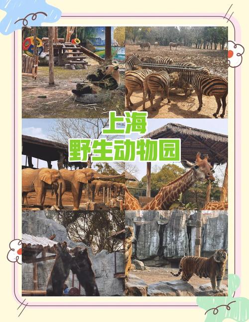 上海野生动物园旅游攻略