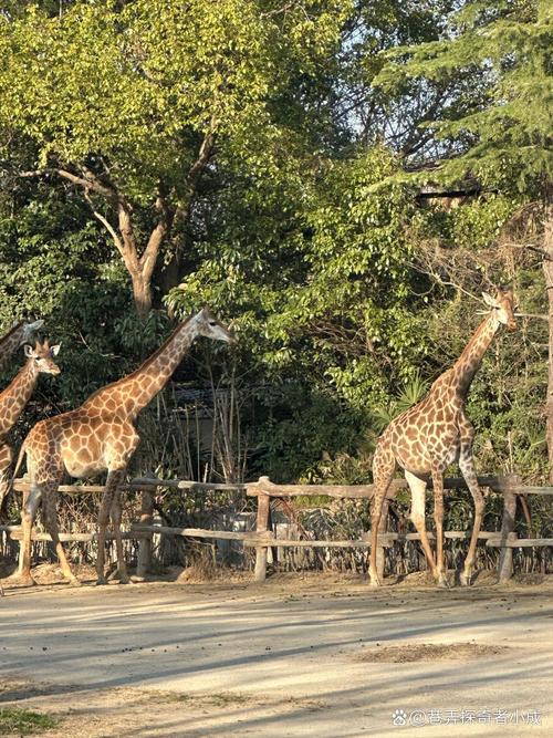 上海适合初中生玩的地方
