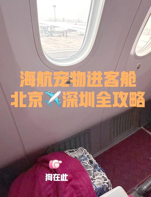 北京到深圳飞机几个小时