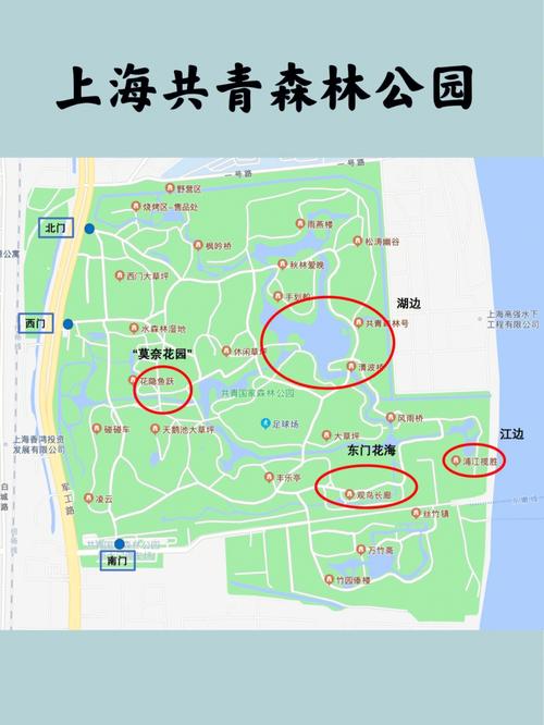上海共青森林公园怎么去