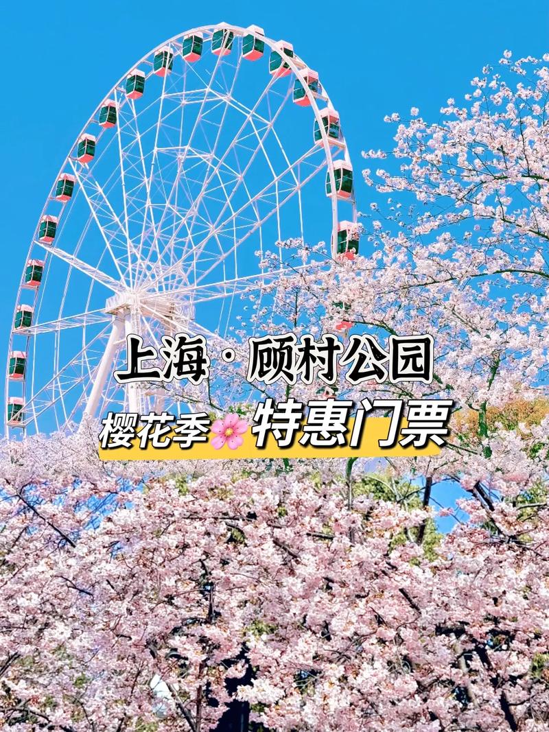 上海顾村公园门票多少钱