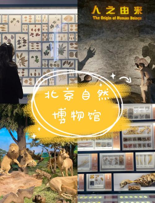 北京自然博物馆门票预约