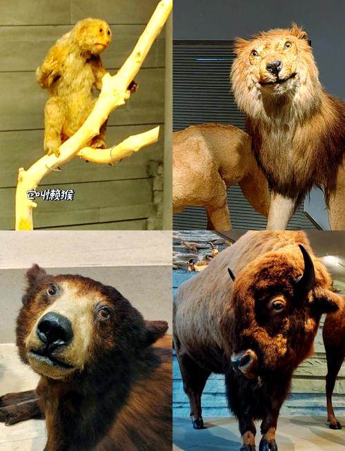 上海自然博物馆附近美食