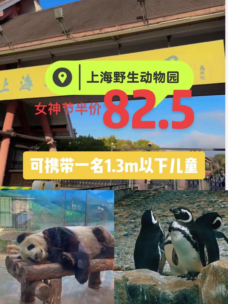 上海野生动物园开放时间