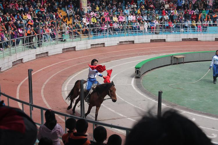 上海野生动物园马戏表演