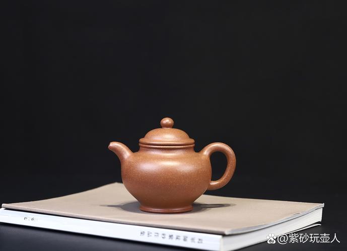 蒋亚萍紫砂壶新掇只壶